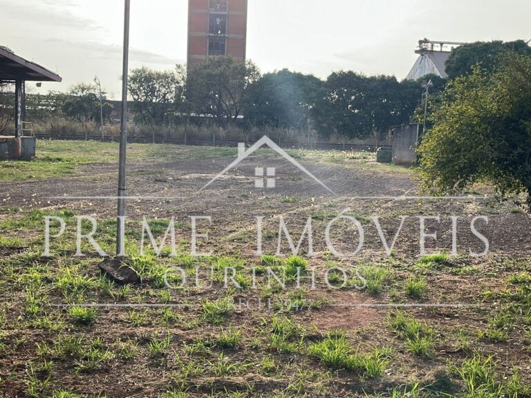Imagem (2)