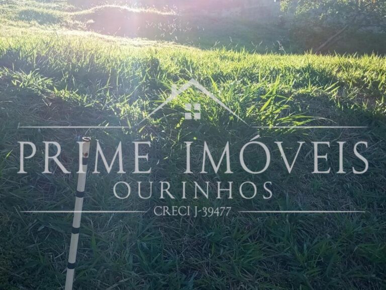 Imagem (3)