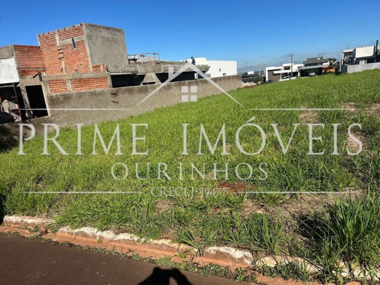 Imagem (2)