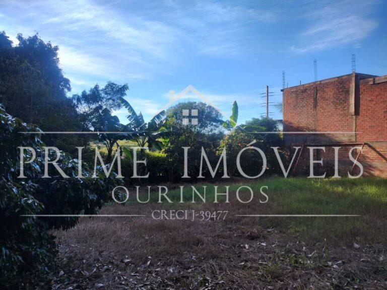 Imagem (1)