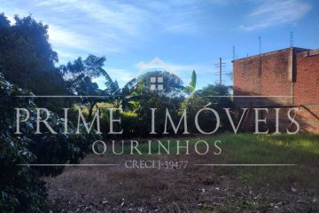 Imagem (1)
