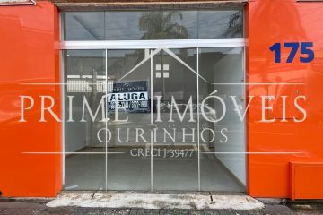 Imagem (2)