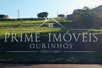 Imagem (5)