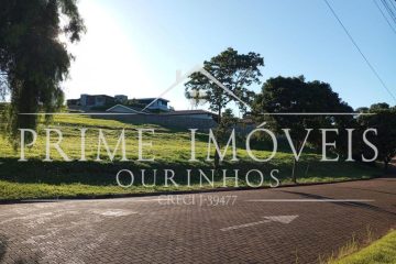 Imagem (7)